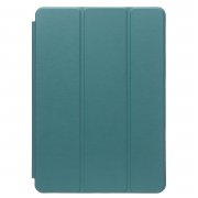 Чехол для планшета TC003 Apple iPad 9 10.2 2021 (сосновый зеленый) — 1